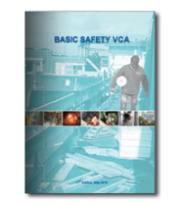 Basic Safety VCA (Terms 2015)