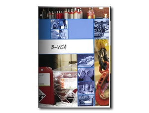 VCA Basis Litouws