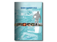 Basic Safety VCA (Terms 2015)